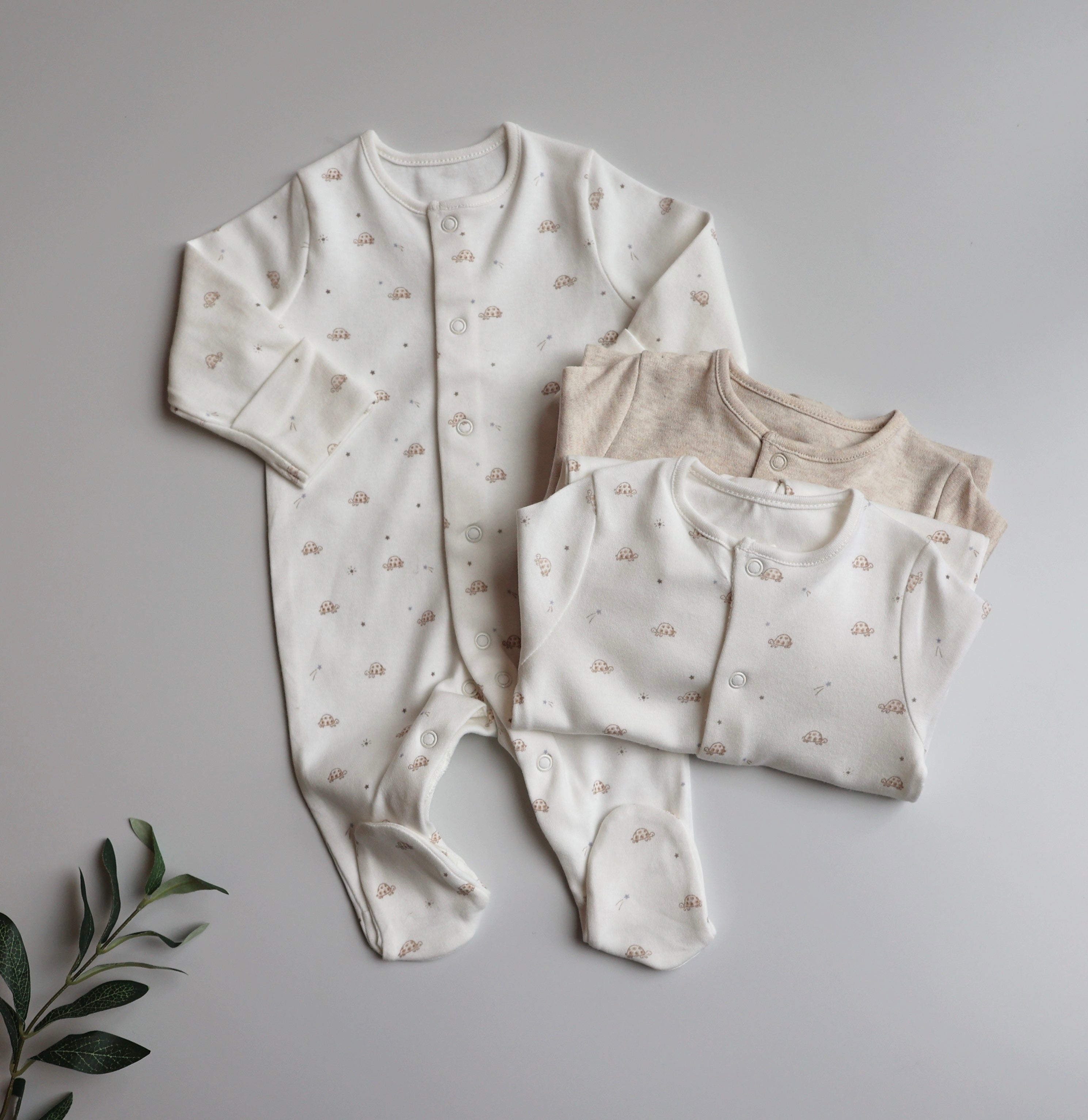 Set Me 3 Tutina