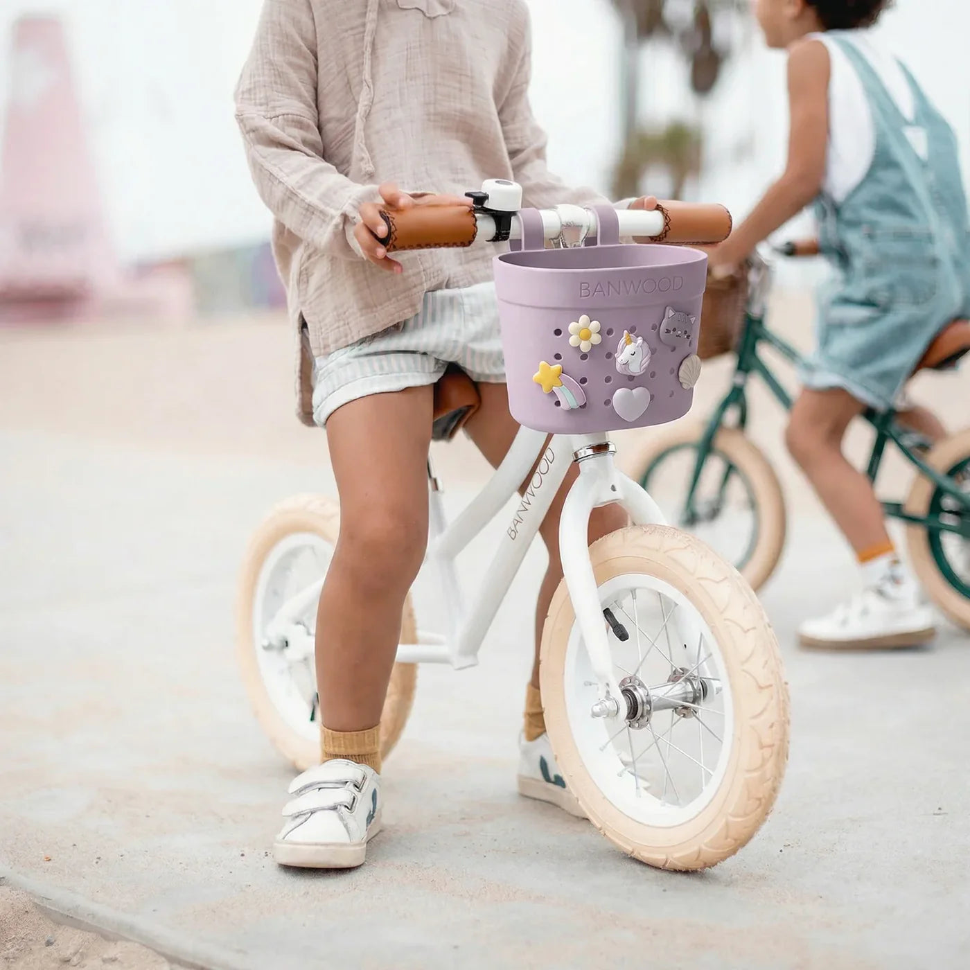 Kosh Plastik per Biçiklete/Skuter Banwood (Pin & Ride) - Lavender