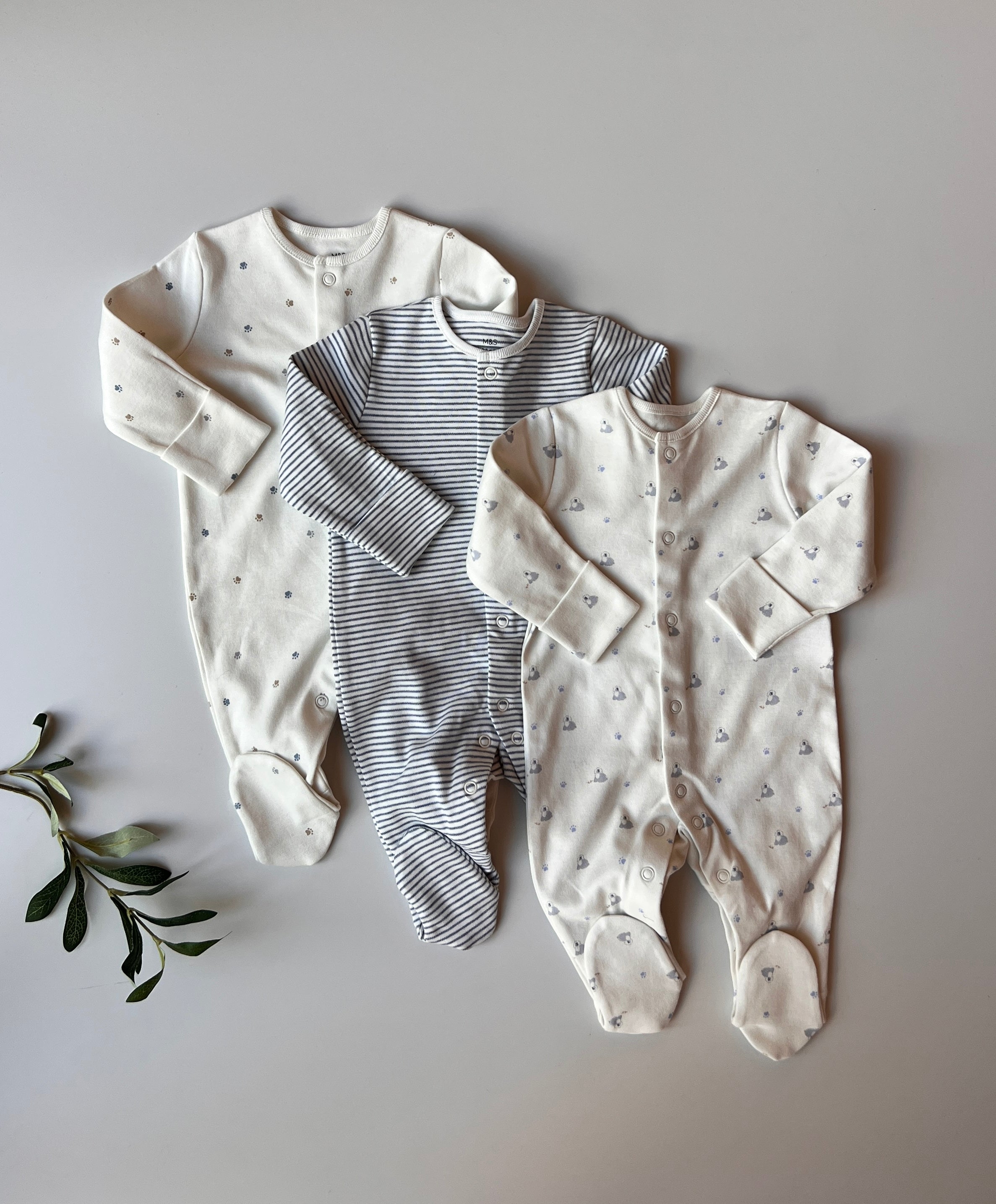Set Me 3 Tutina