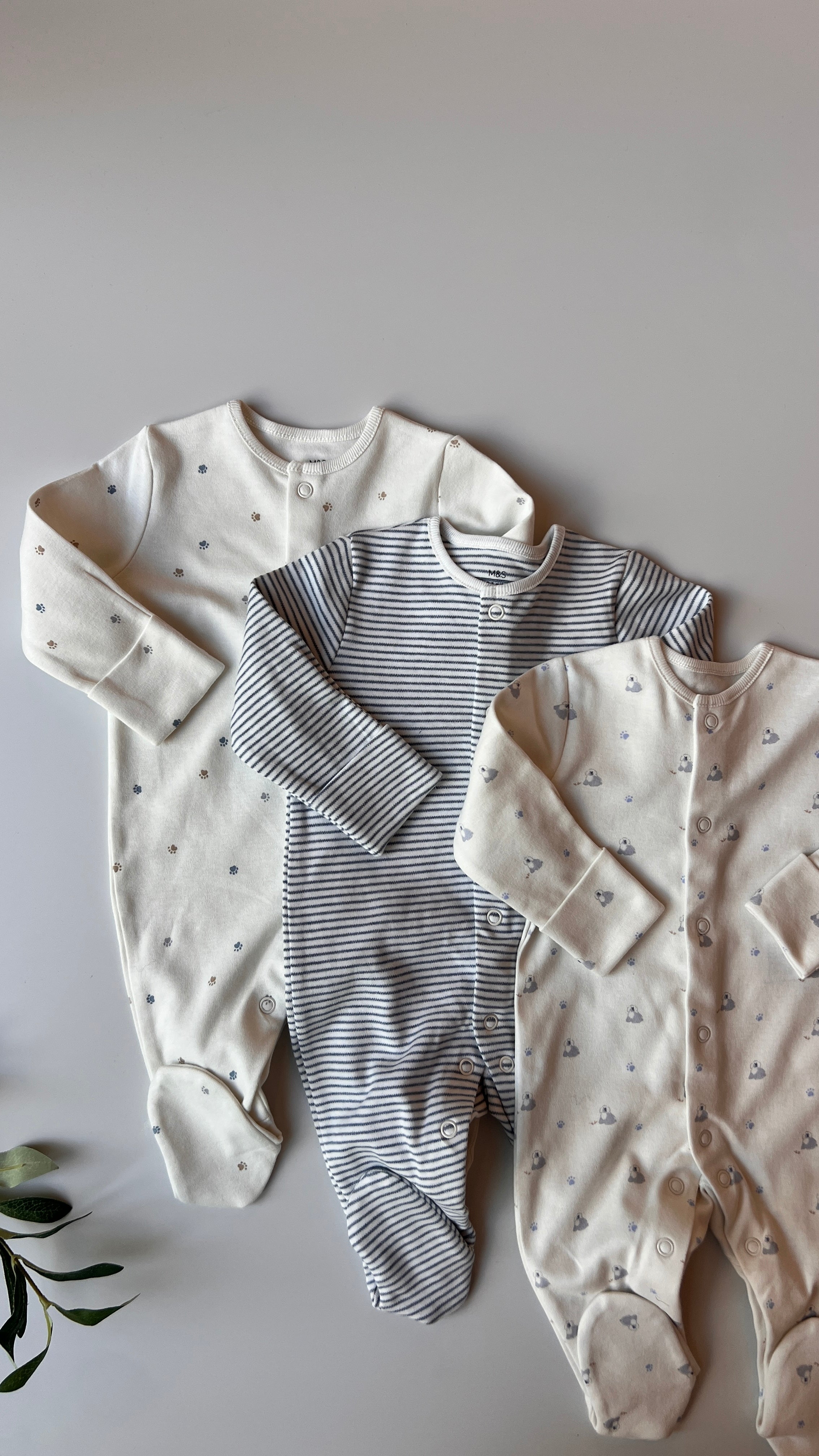 Set Me 3 Tutina