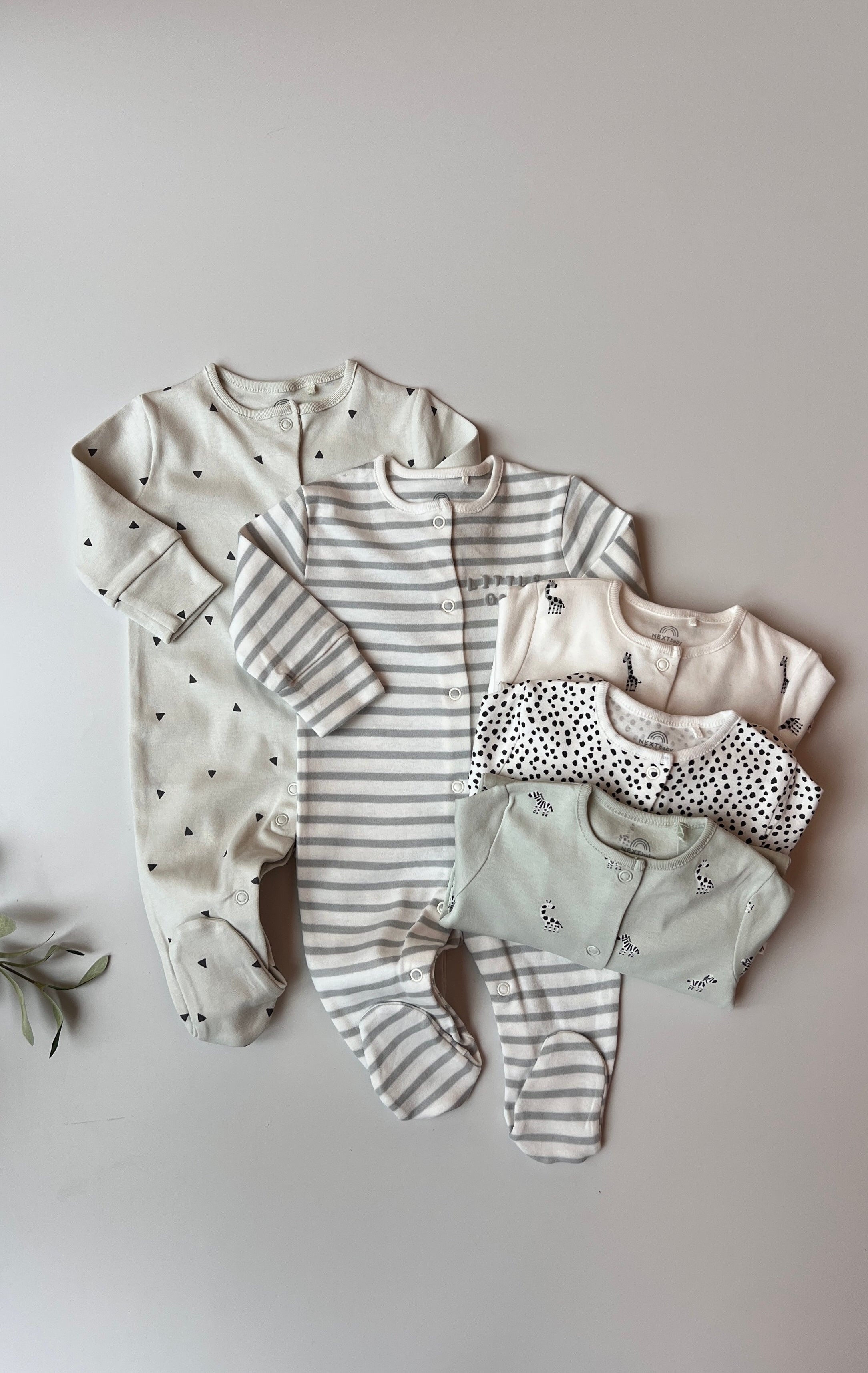Set Me 5 Tutina – Soft Safari