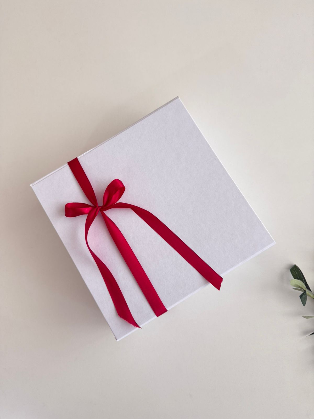 Kuti Premium Bardhë